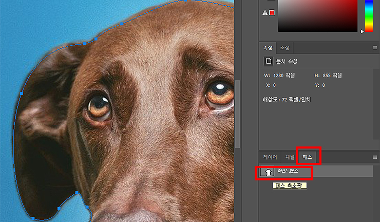 패스로-강아지-영역-지정