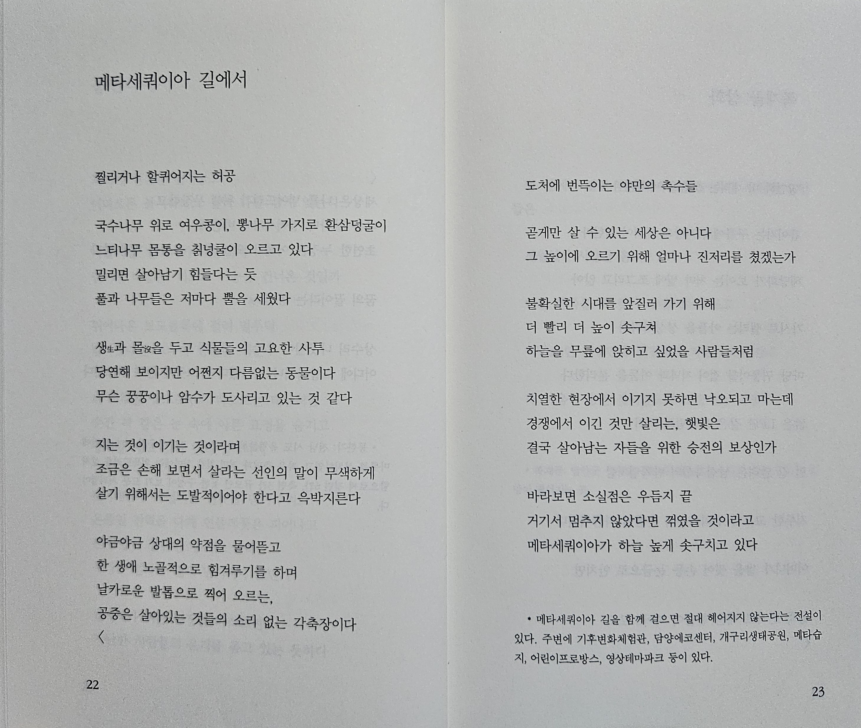 죽향 이미지