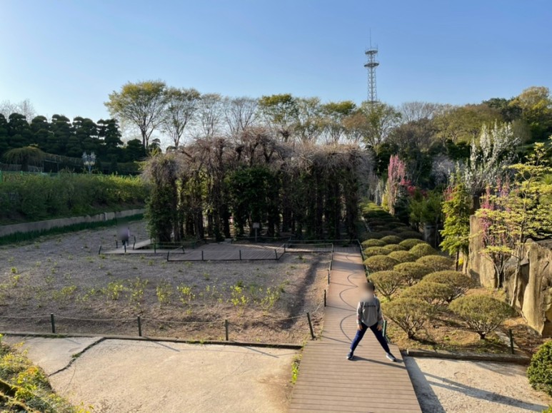 세종 가볼만한곳세종 가볼만한곳베어트리파크 18