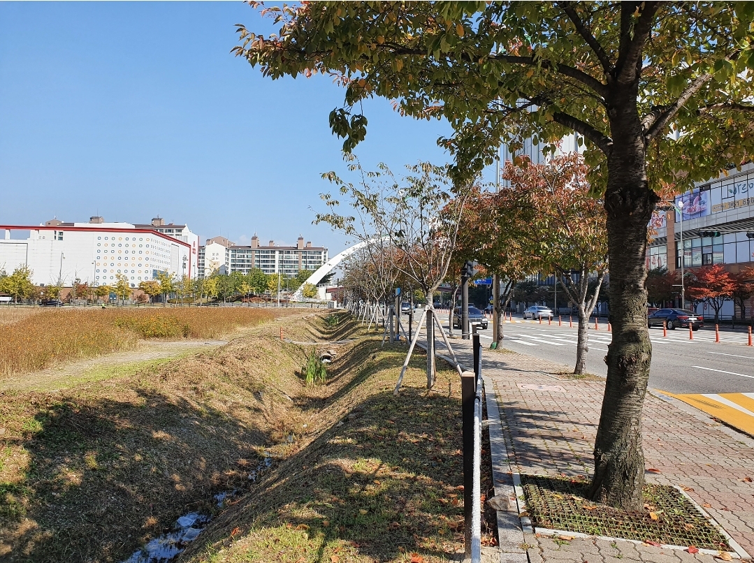  나무 수종 고유의 특성