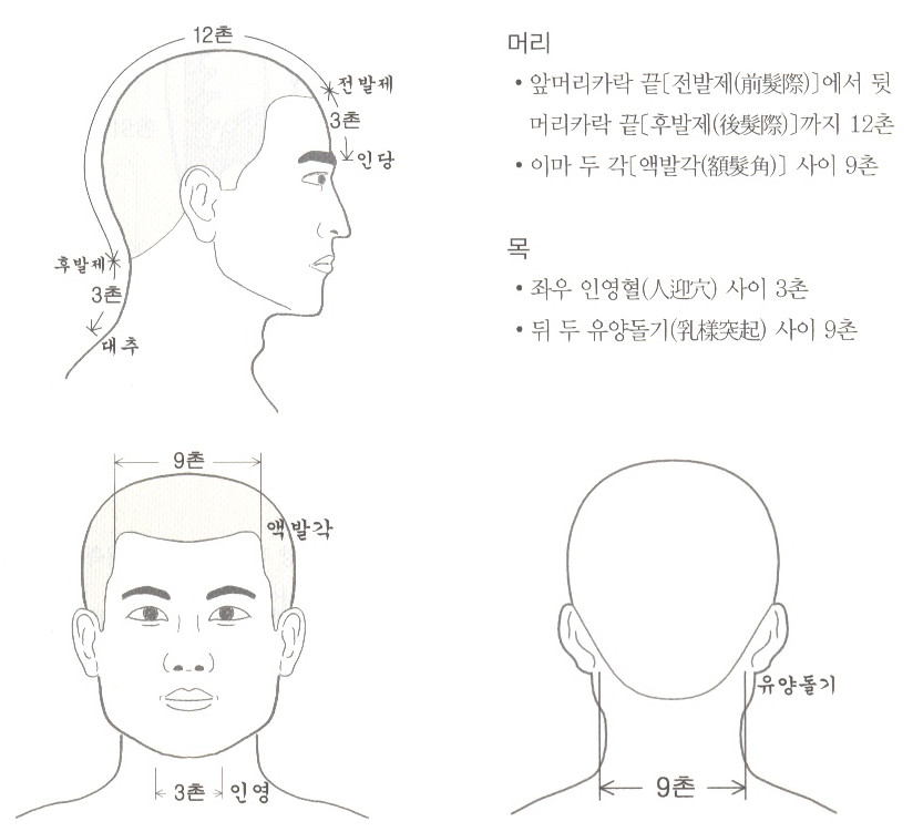 골도분촌법 - 골도분촌법(骨度分寸法) 이란? 골도분촌법 - 골도분촌법(骨度分寸法) 이란?