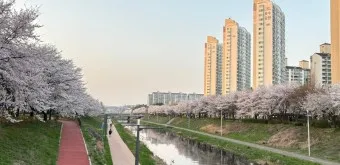 안산 가볼만한곳 베스트10 나만 알고싶은 코스_12