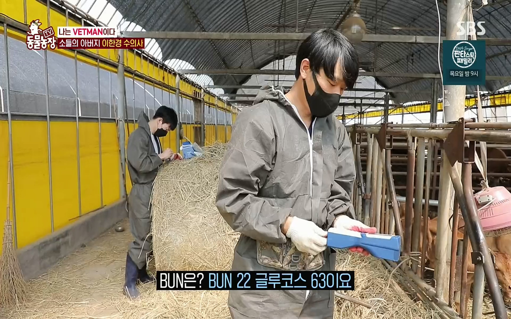 TV 동물농장.E1069.220515p.H264-F1RST.mp4_20220515_181300.589.jpg