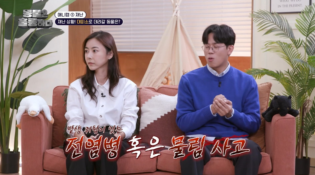 반려인들은 알아두면 좋을 만한 정보들...jpg | 인스티즈