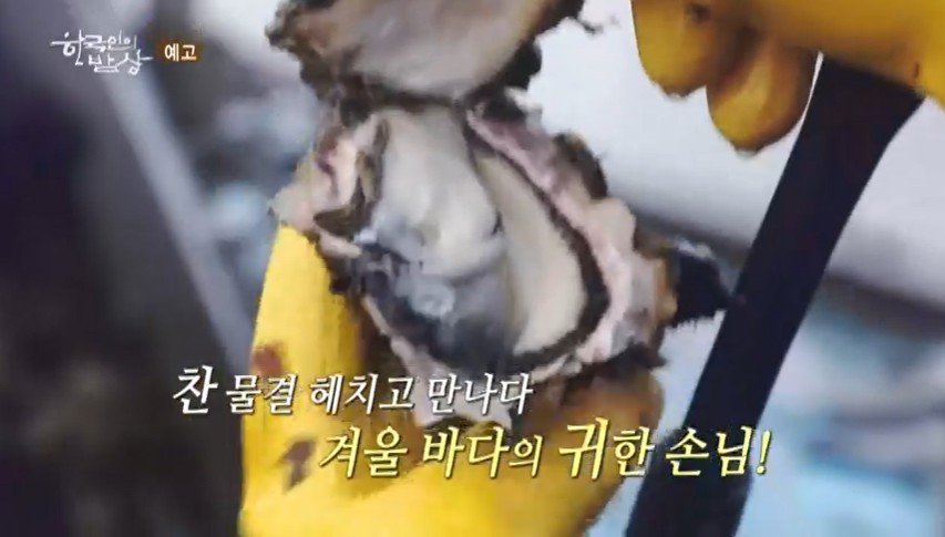 한국인의밥상-통영-굴