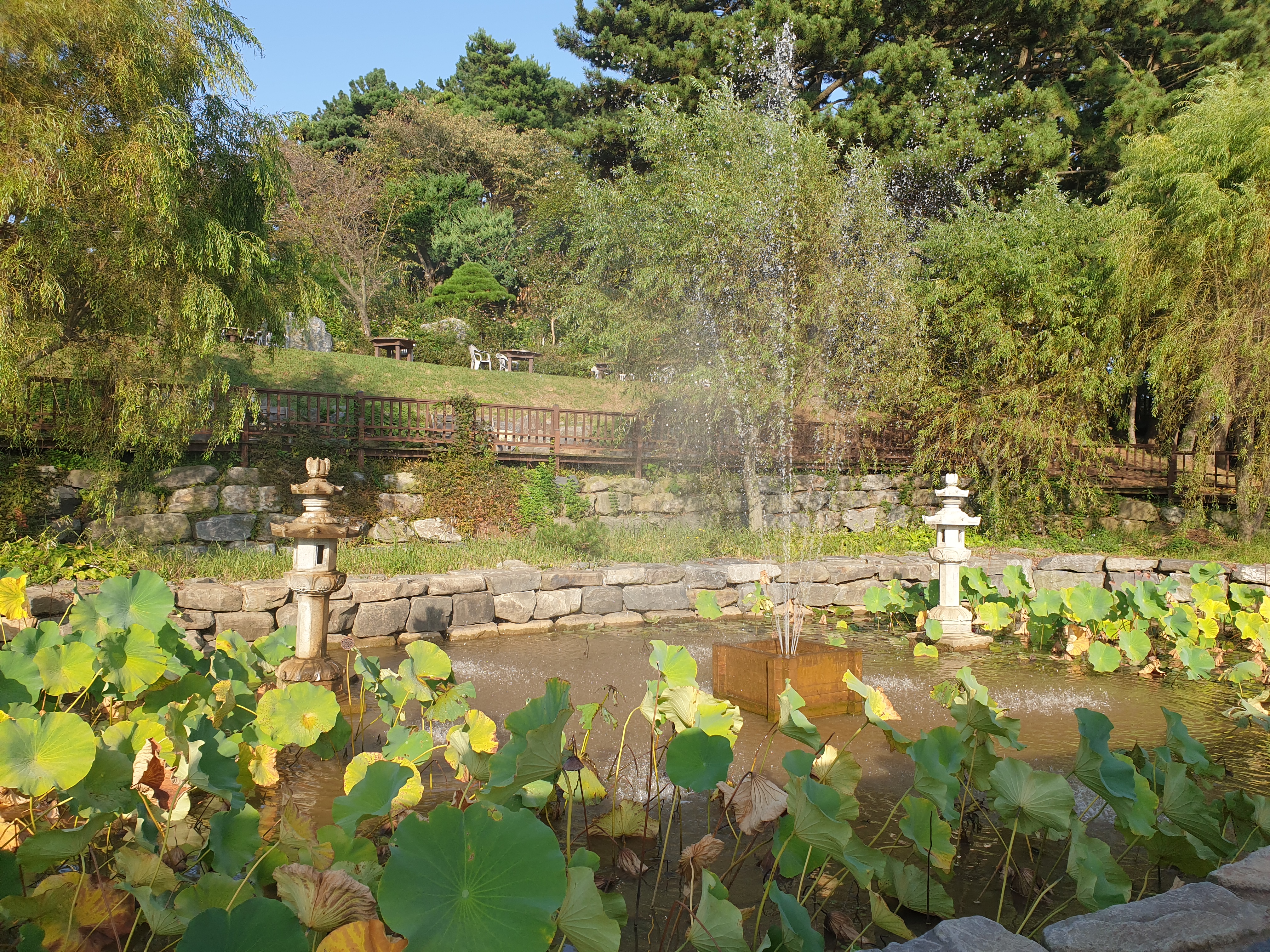 대천 가볼만한곳 보령 죽도 상하원 한국식 전통 정원