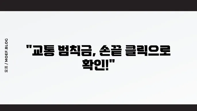 실시간 교통범칙금 조회 이파인 이용 가이드