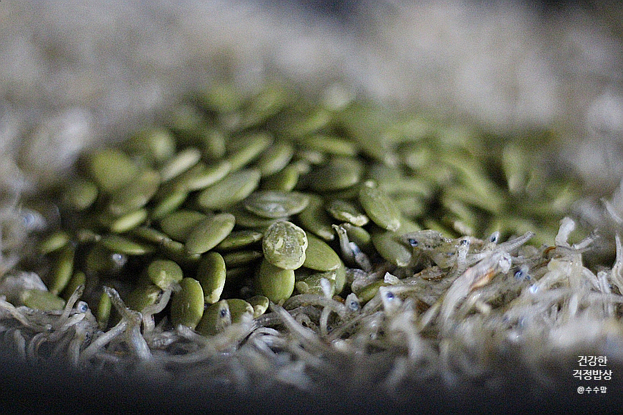 그 효능과 하루권장량 체크 마그네슘 폭탄 호박씨와 멸치 10