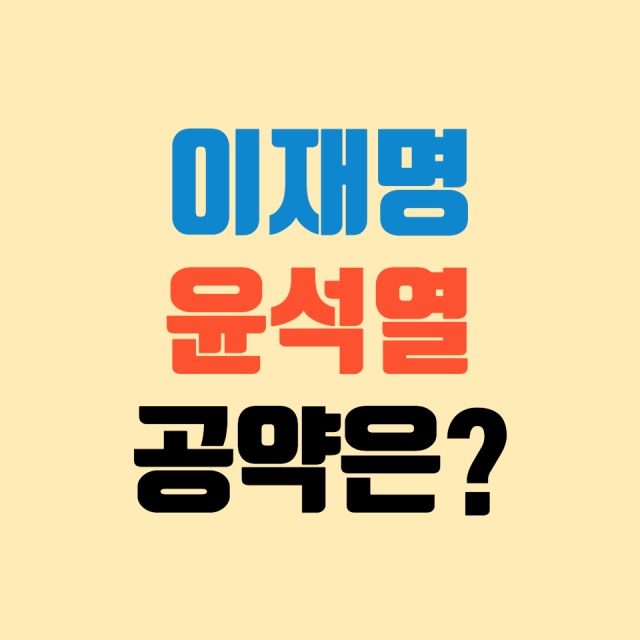 대선후보-공약