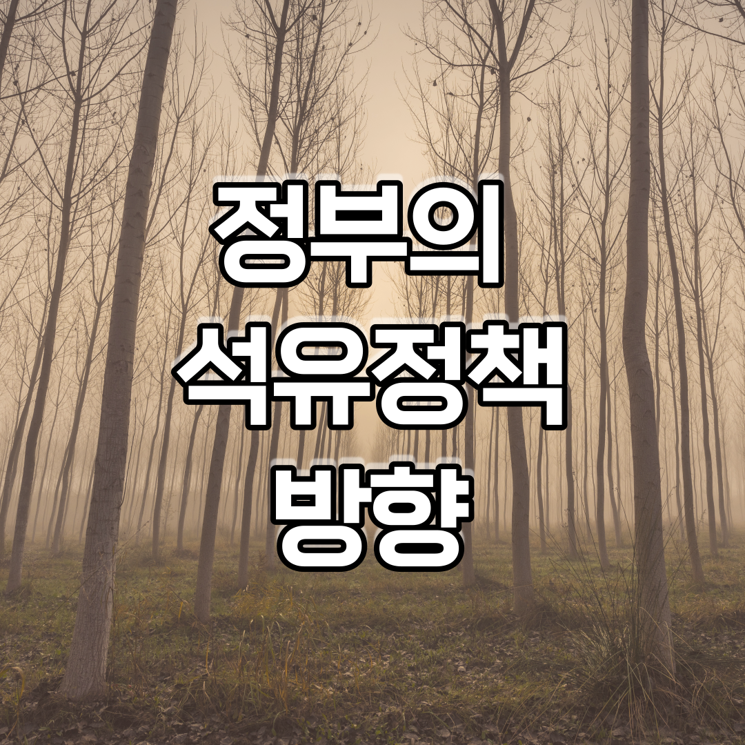  정부의 석유정책 방향