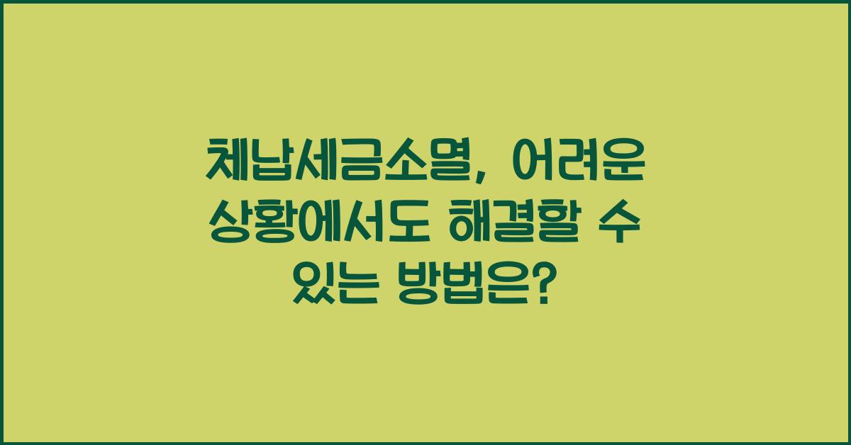 체납세금소멸