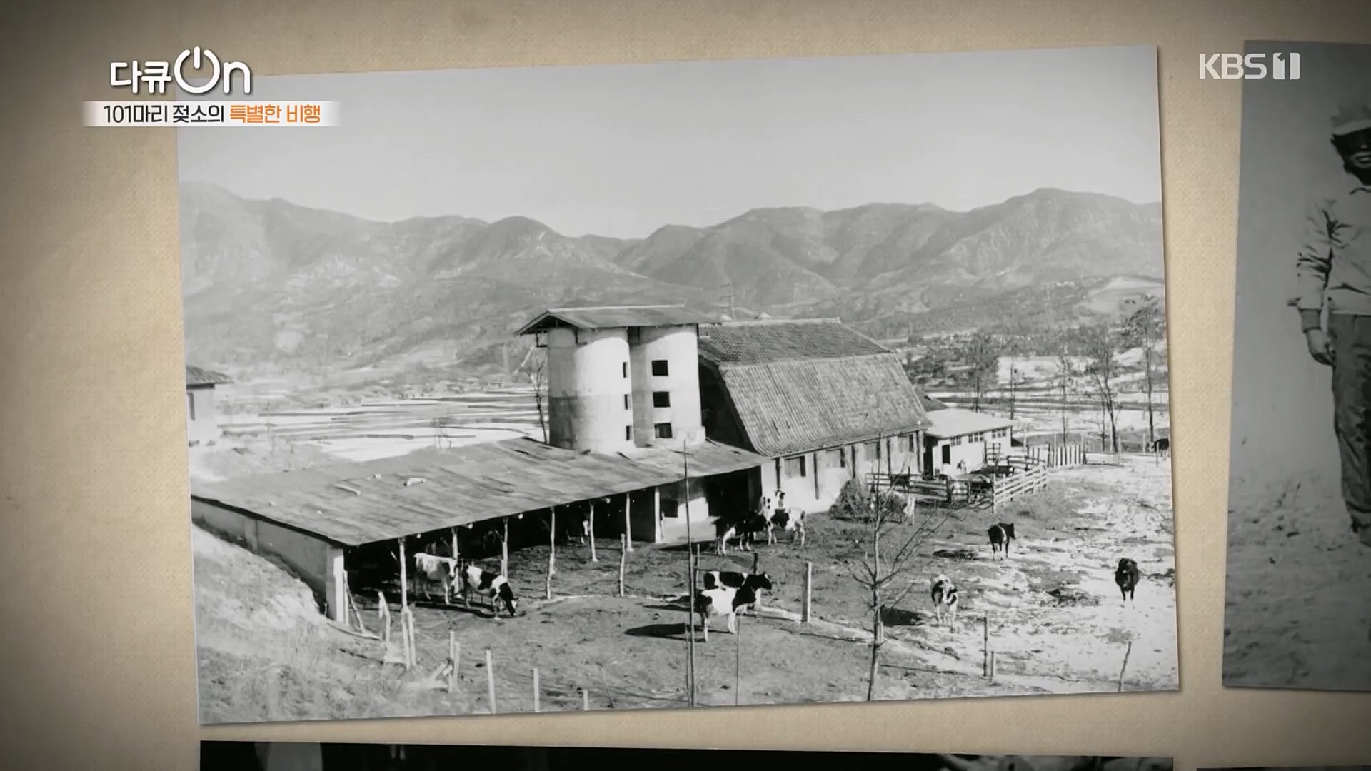 다큐 On.E184.230203p.H264-F1RST.mp4_20230211_175639.026.jpg