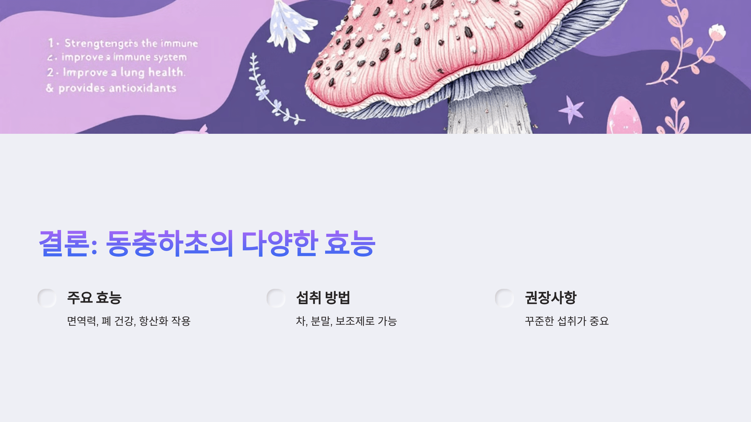 동충하초와 관련된 사진입니다.