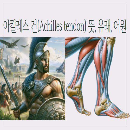 아킬레스 건(Achilles tendon) 뜻&#44; 유래&#44; 어원