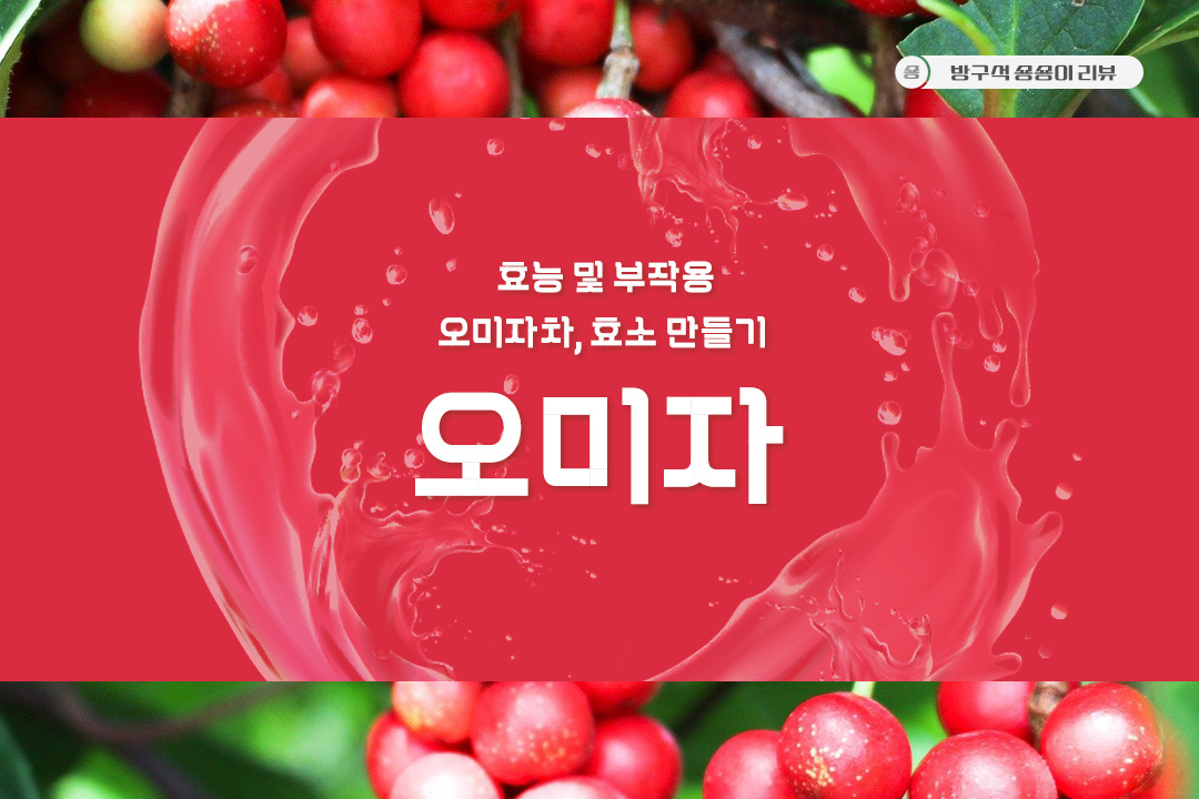 오미자-효능-및-부작용-오미자차-오미자-효소-만들기