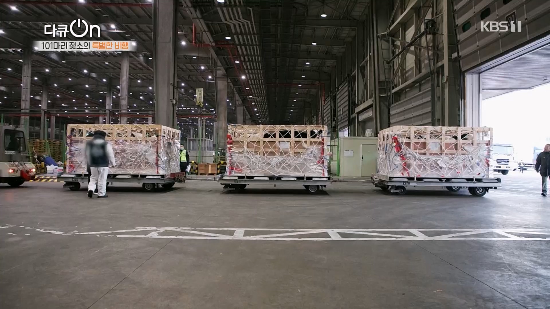 다큐 On.E184.230203p.H264-F1RST.mp4_20230211_175650.397.jpg