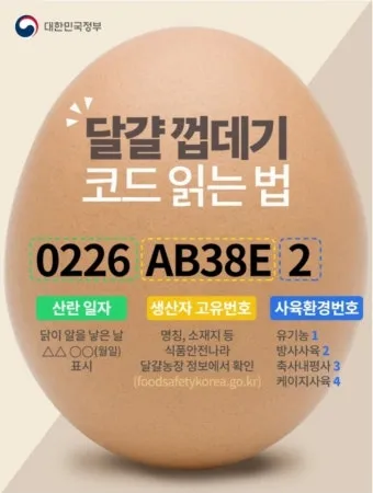 계란에 적힌 번호가 정확히 뭘까 계란 난각번호 4번 제대로 알고 먹고 있나요_2