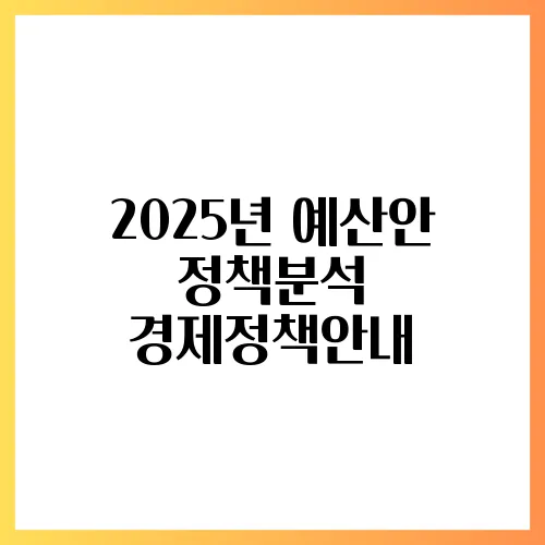 2025년 예산안 정책분석 경제정책안내
