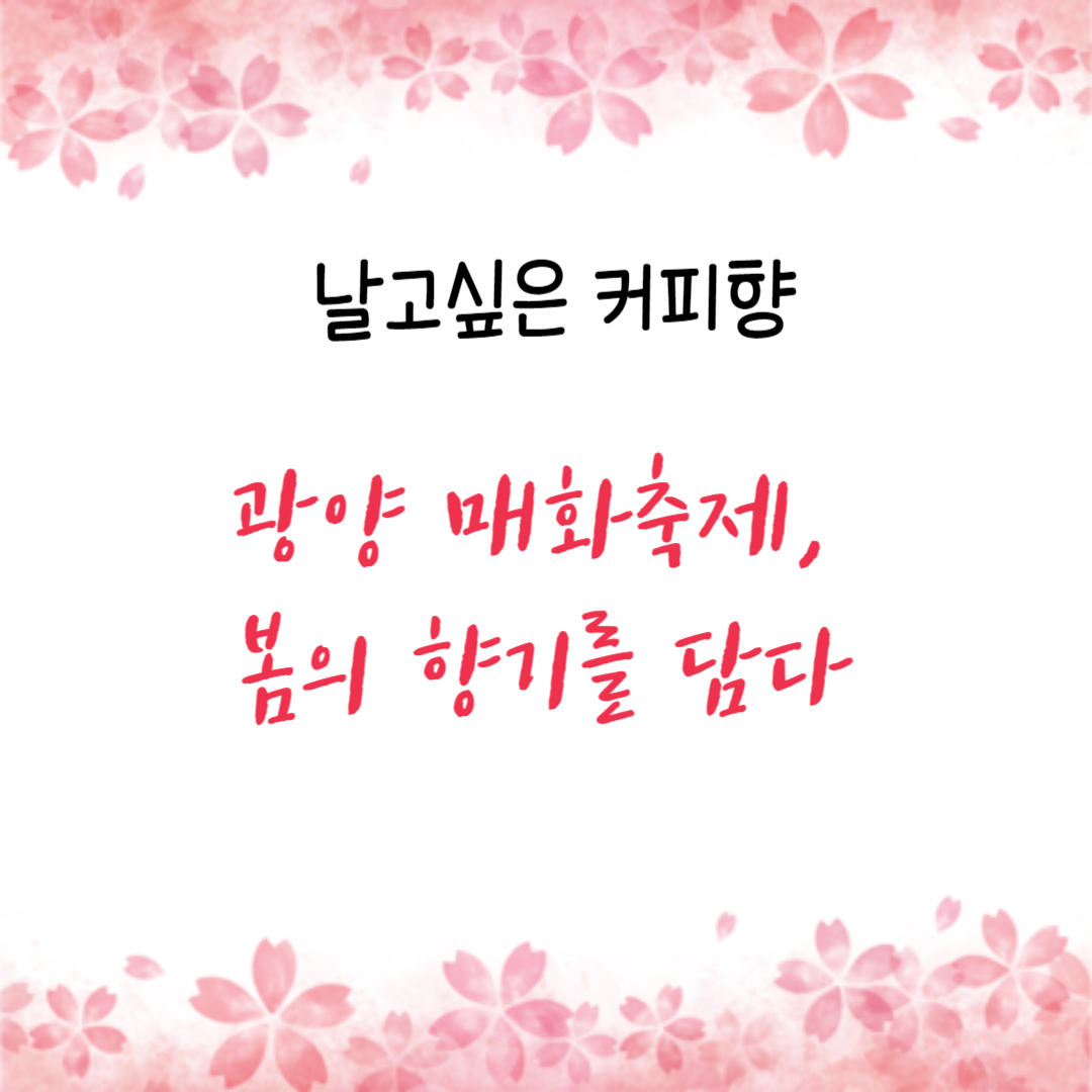  광양 매화축제, 봄의 향기를 담다