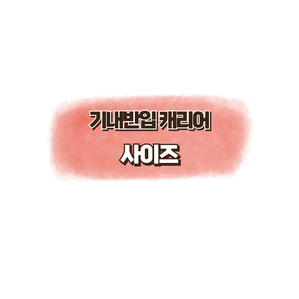 기내반입 캐리어 사이즈