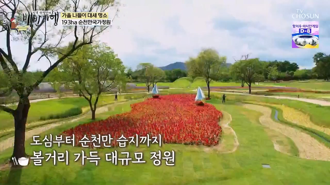 식객 허영만의 백반기행.E216.230916p-NEXT.mp4_20230916_164949.569.jpg