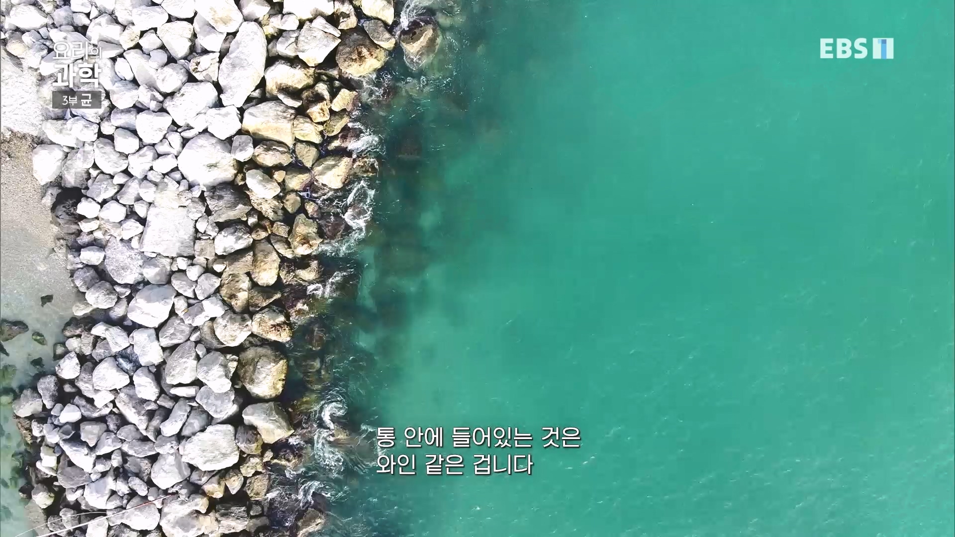 EBS 다큐프라임.201207.요리의 과학 - 3부 균0p.mp4_20240411_202629.857.jpg