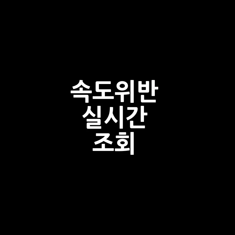 속도위반 실시간 조회