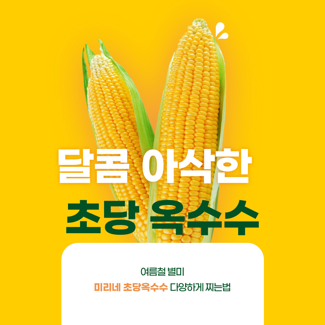 초당옥수수 찌는방법&amp;#44; 삶는법