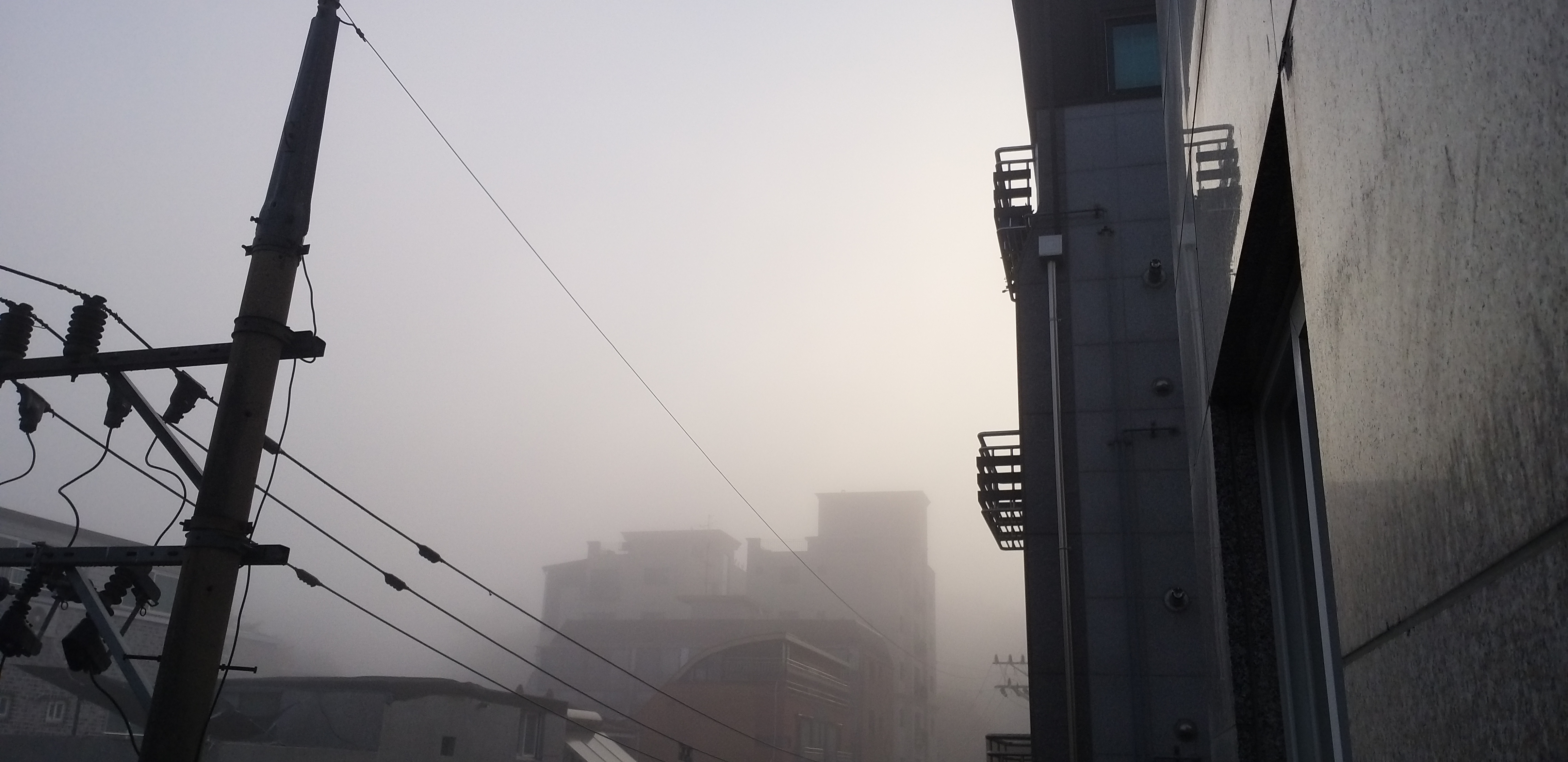  [20201102]헐 아침에 거실창 열어보고 깜짝 놀랐다