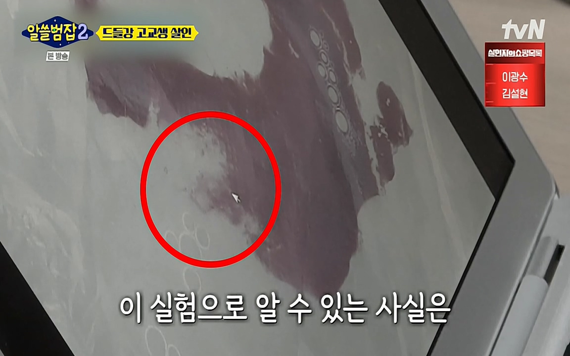 알쓸범잡 2.E15.220425p-NEXT.mp4_20220425_190437.077.jpg