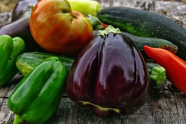 글루타치온 효능 추천