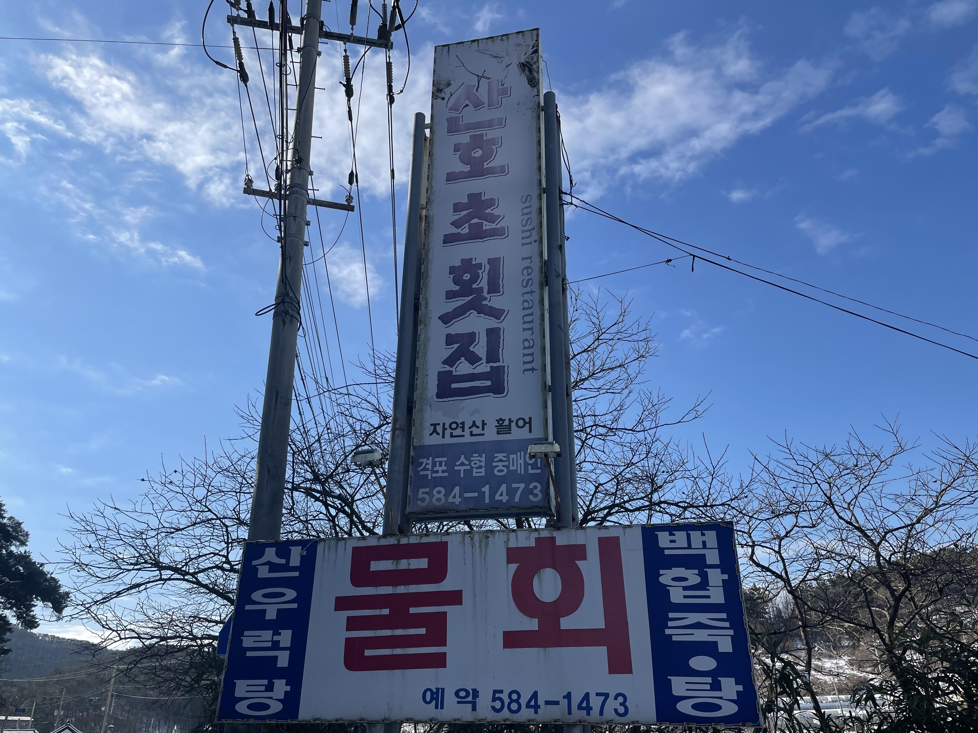  변산 토박이 맛집 , 부안 현지인  맛집 , 부안 물회 맛집 , 물회 가성비 , 전북 여행 맛집 , 부안 가성비 식당 (내돈내산)