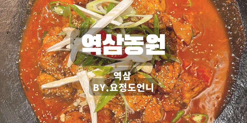  [역삼]숯불닭도리탕 '역삼농원'