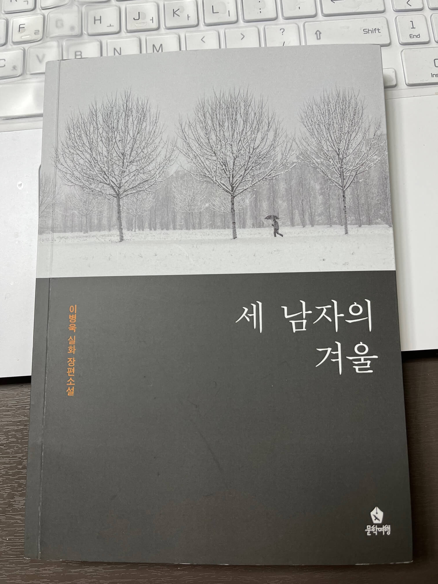 이병욱의 세번째 신간 실화장편소설 세 남자의 겨울