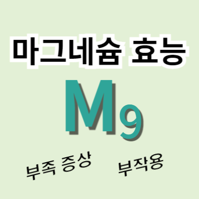 마그네슘-효능