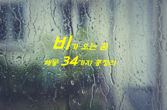 비 오는 꿈 해몽 34가지 총정리