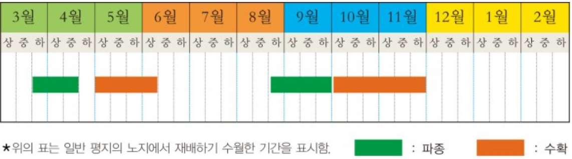 얼갈이 배추 파종시기 재배법 8