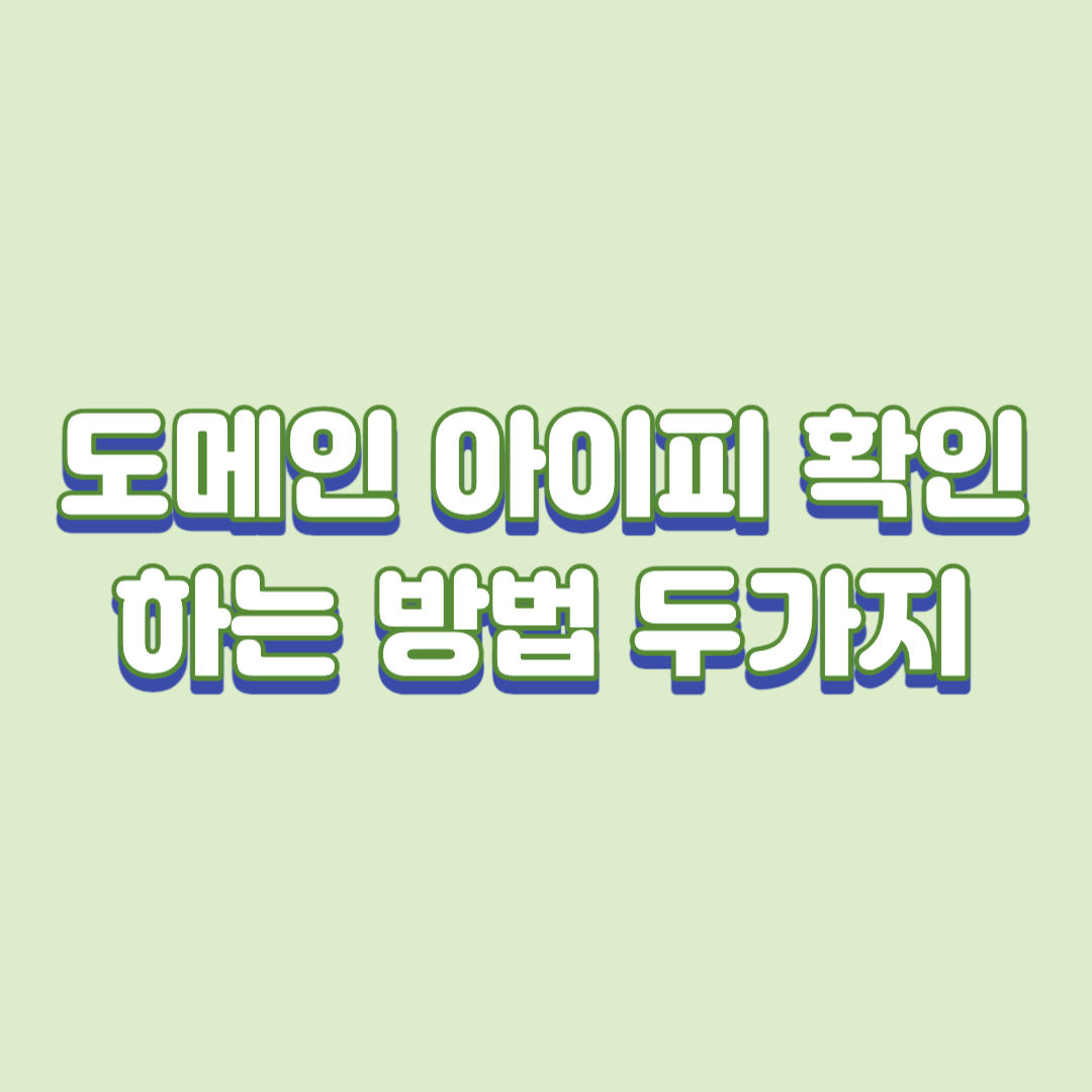  도메인 아이피 확인 사이트 2개 추천 및 확인 방법