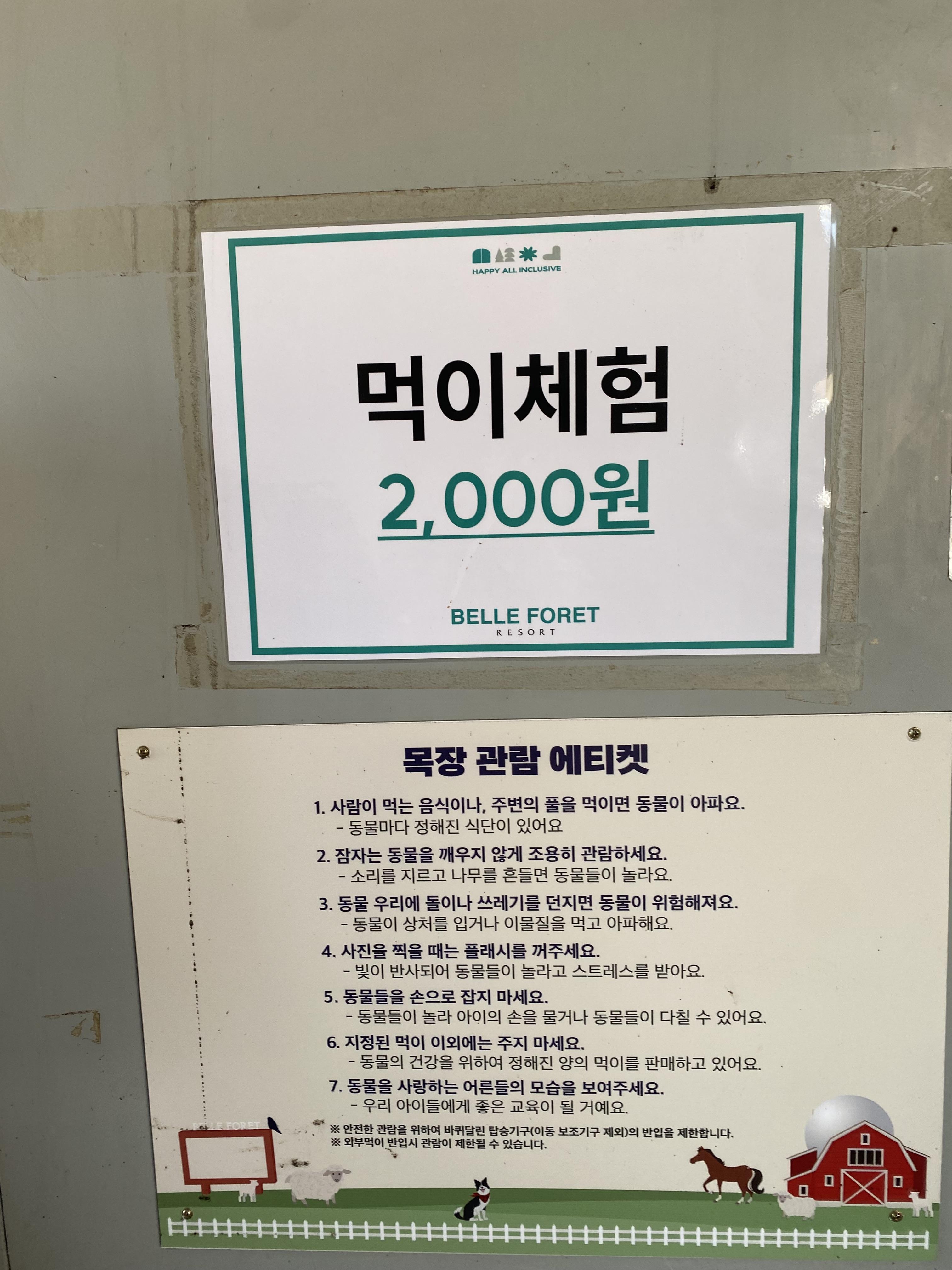 증평 벨포레 목장 먹이체험