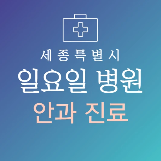 세종시-일요일-안과-문여는곳-주말에-진료하는-세종시-24시간-안과-병원