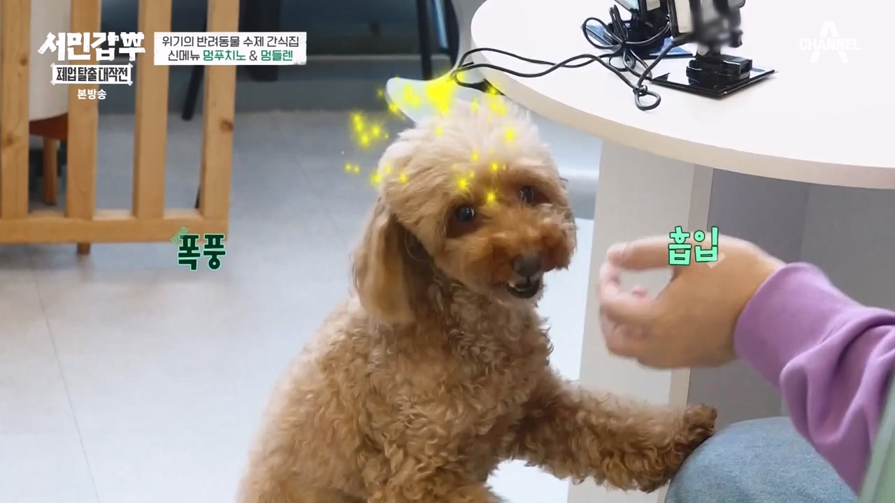 서민갑부 폐업 탈출 대작전.E12.231008p-NEXT.mp4_20231008_150109.896.jpg