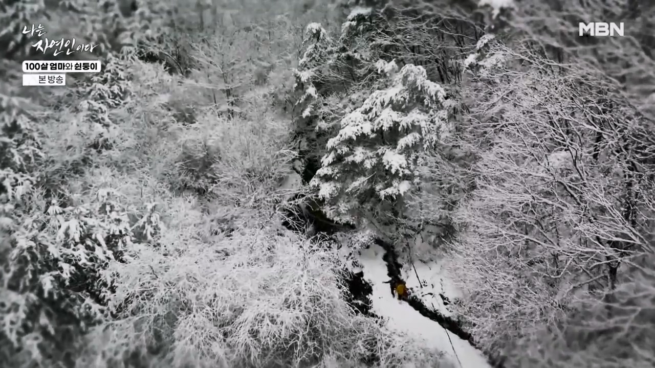 나는 자연인이다.E597.240314p-NEXT.mp4_20240314_195513.609.jpg