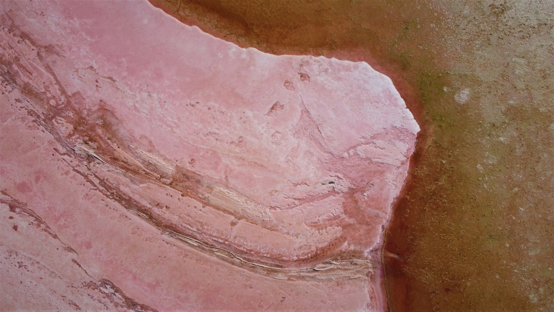Pelvic