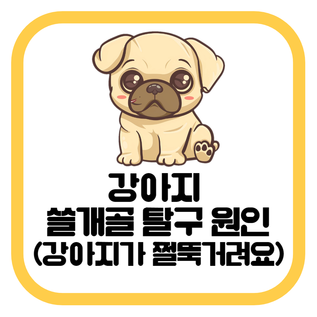 강아지 쓸개골 탈구 원인