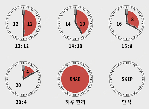시간제한섭취와 단식의 예시