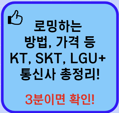 로밍하는 방법 이유 로밍 가격 등 확인 (KT&#44; SKT&#44; LGU+)(24년 Ver)