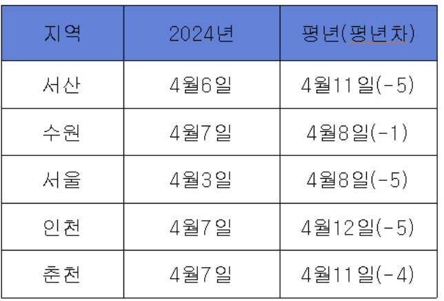 벚꽃 개화 시기
