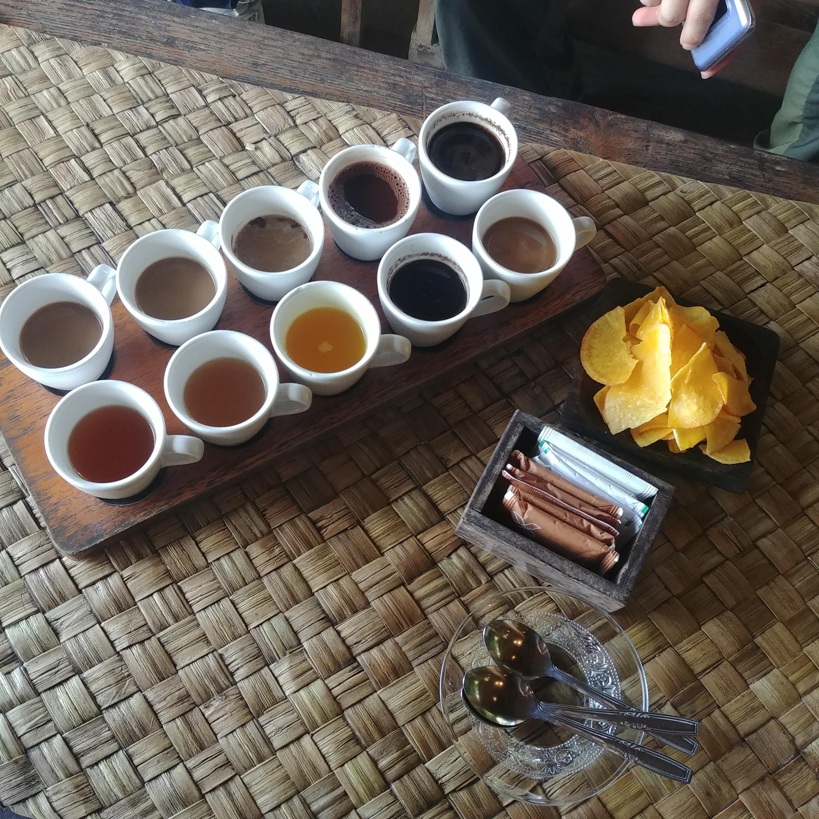  발리 커피 즐기리 좋은 곳 Bali Pulina Coffee Plantation