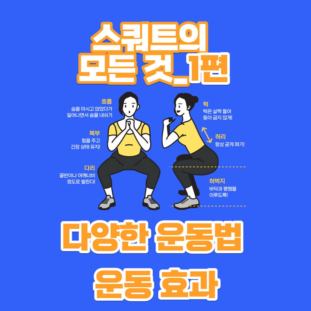 스쿼트의-운동법-및-운동효과