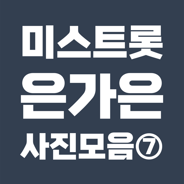  [사진모음 7/7] 미스트롯2 은가은 Eungaeun 성형 과거사진 (본명 : 김지은 / 1987년생 / 동주대학)